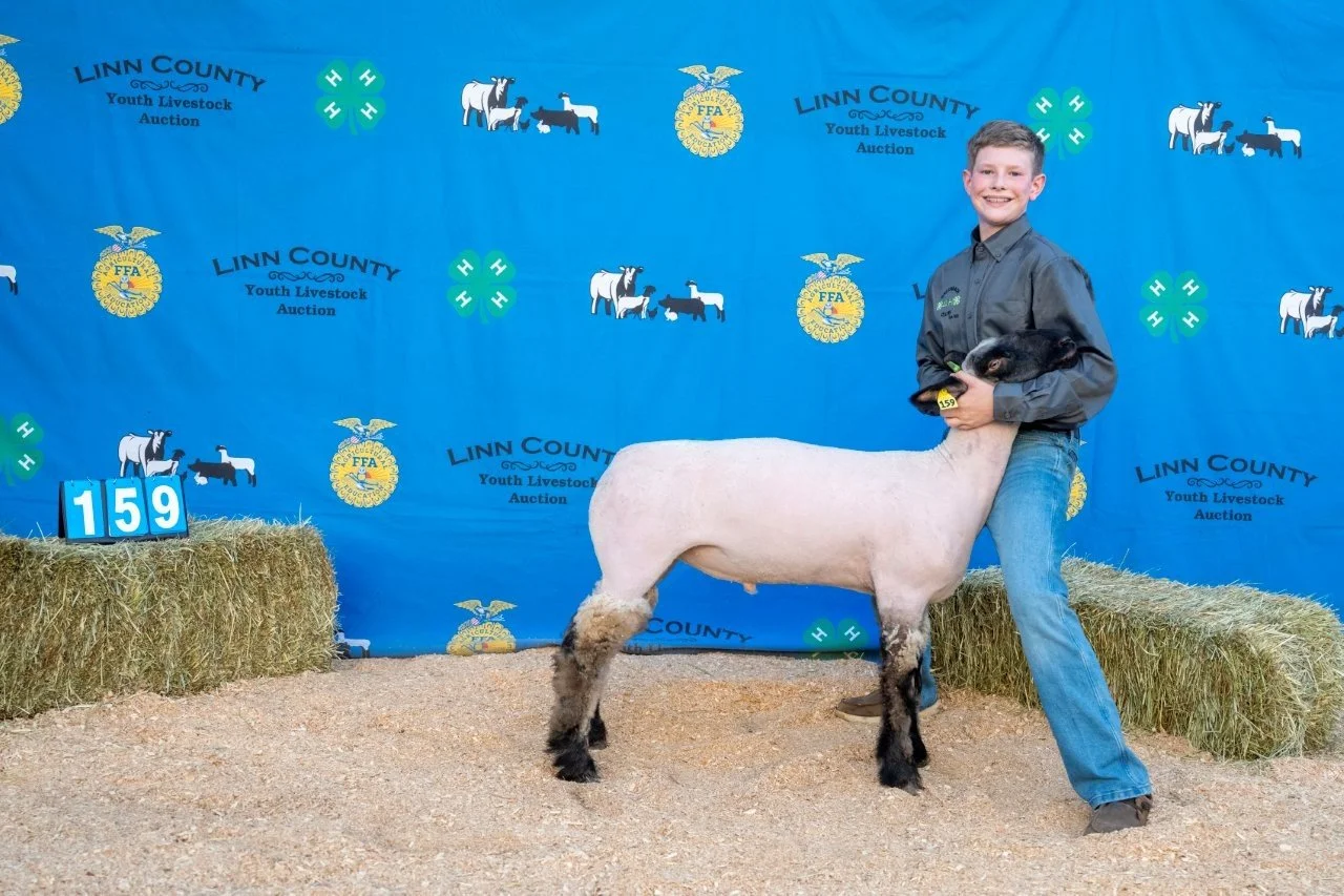Sheep 159 (1 of 1).jpg
