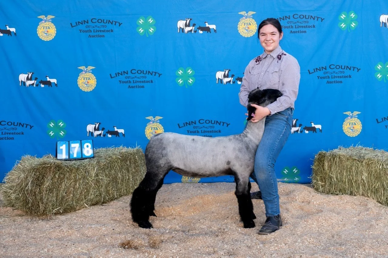 Sheep 178 (1 of 1).jpg