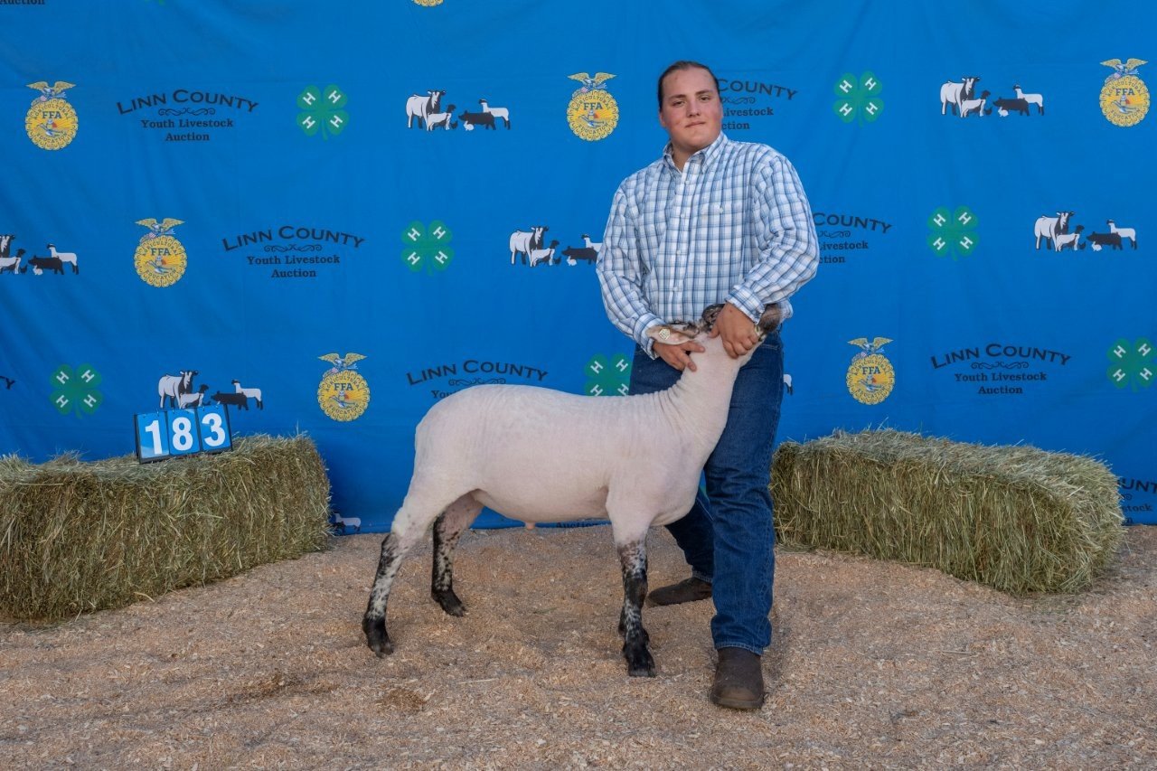 Sheep 183 (1 of 1).jpg