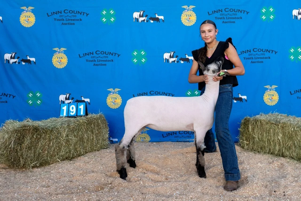 Sheep 191 (1 of 1).jpg