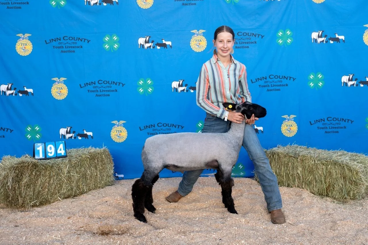 Sheep 194 (1 of 1).jpg