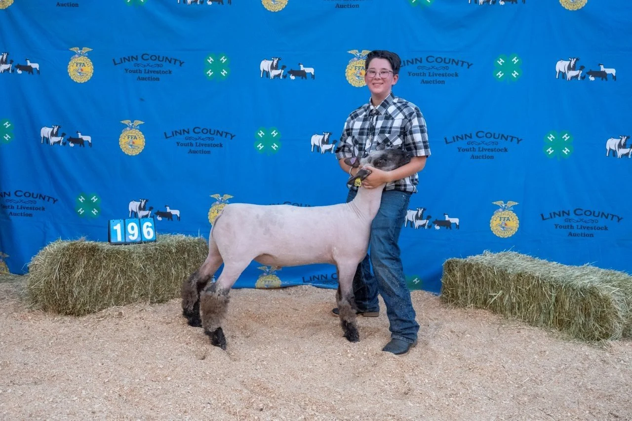 Sheep 196 (1 of 1).jpg
