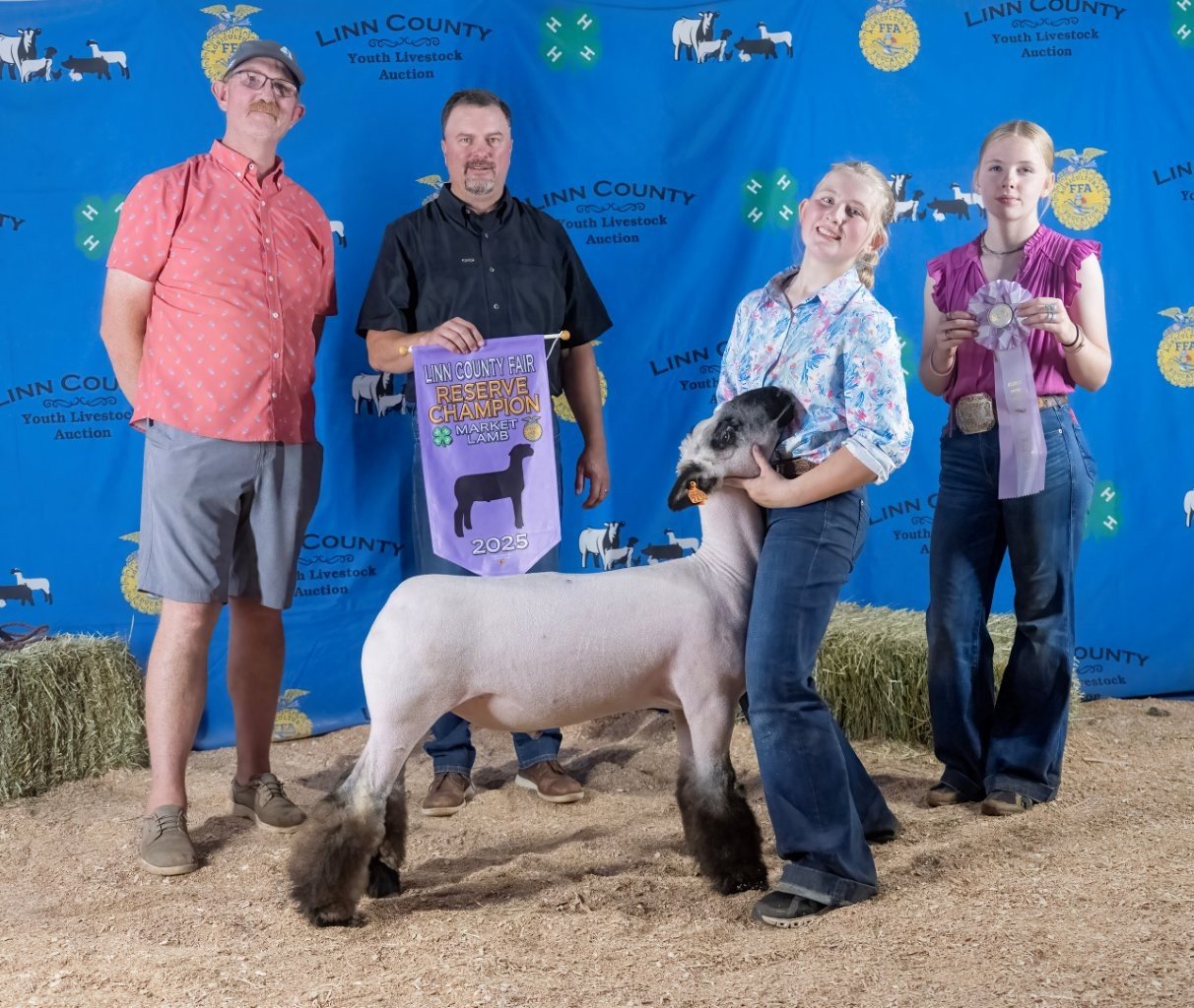 Sheep 5922 (1 of 1).jpg
