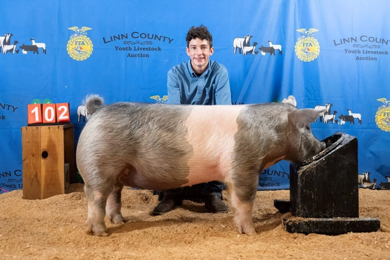 Swine 102 (1 of 1).jpg
