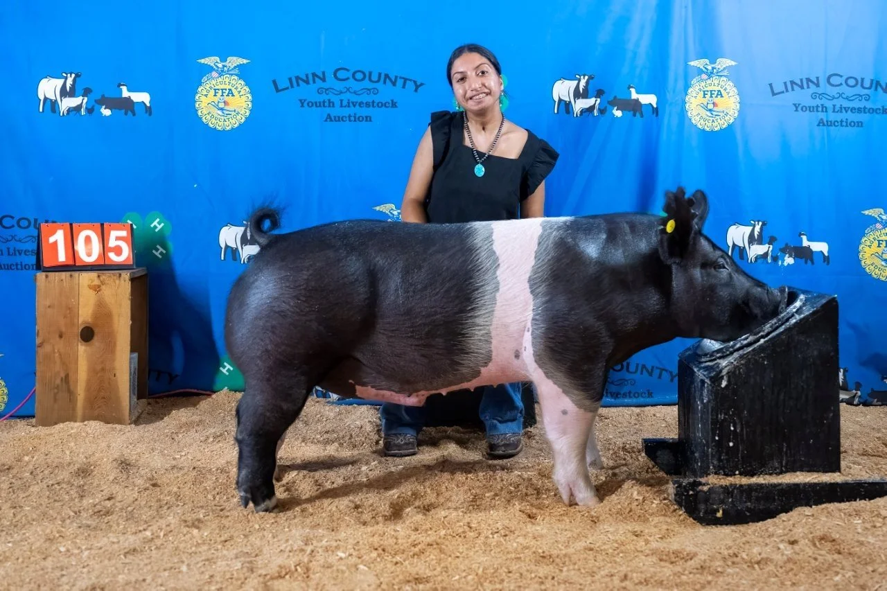 Swine 105 (1 of 1).jpg