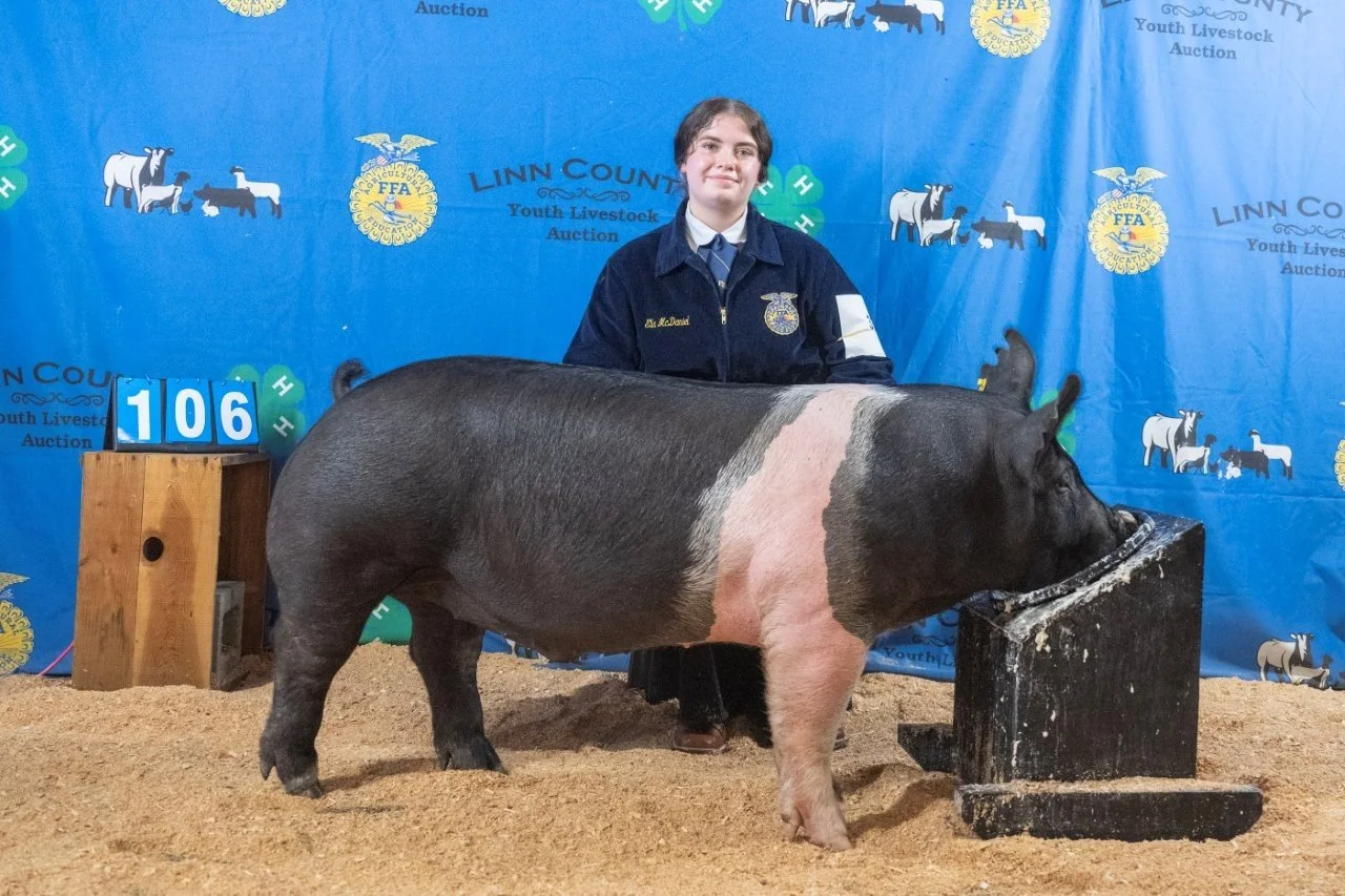 Swine 106 (1 of 1).jpg