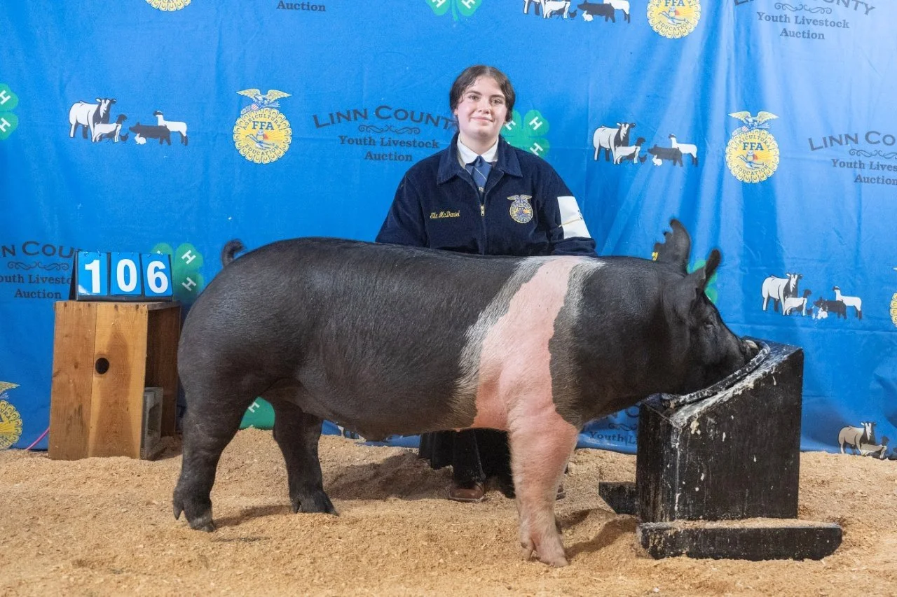 Swine 107 (shown as 106) (1 of 1).jpg