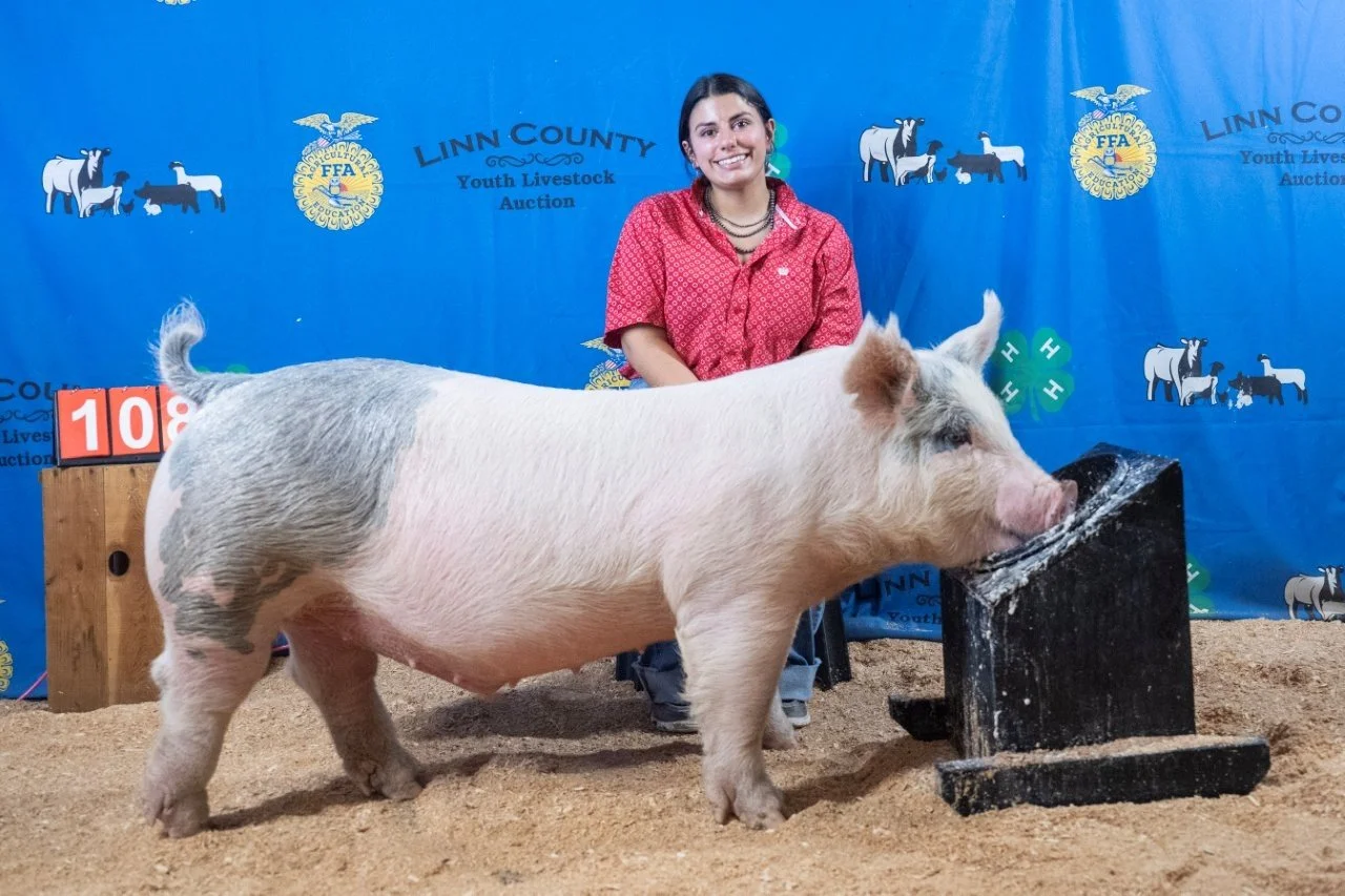 Swine 108 (1 of 1).jpg