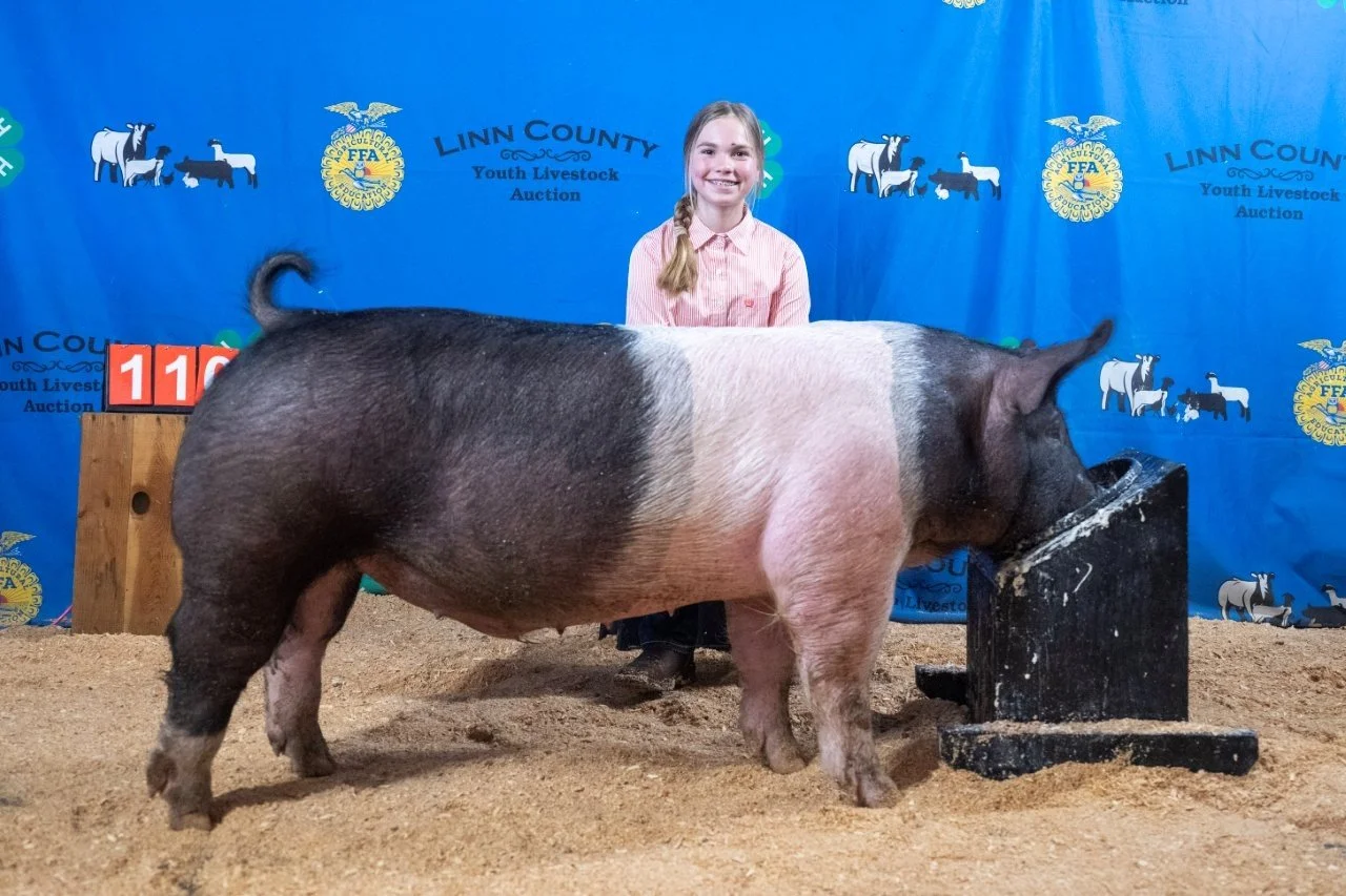Swine 110 (1 of 1).jpg