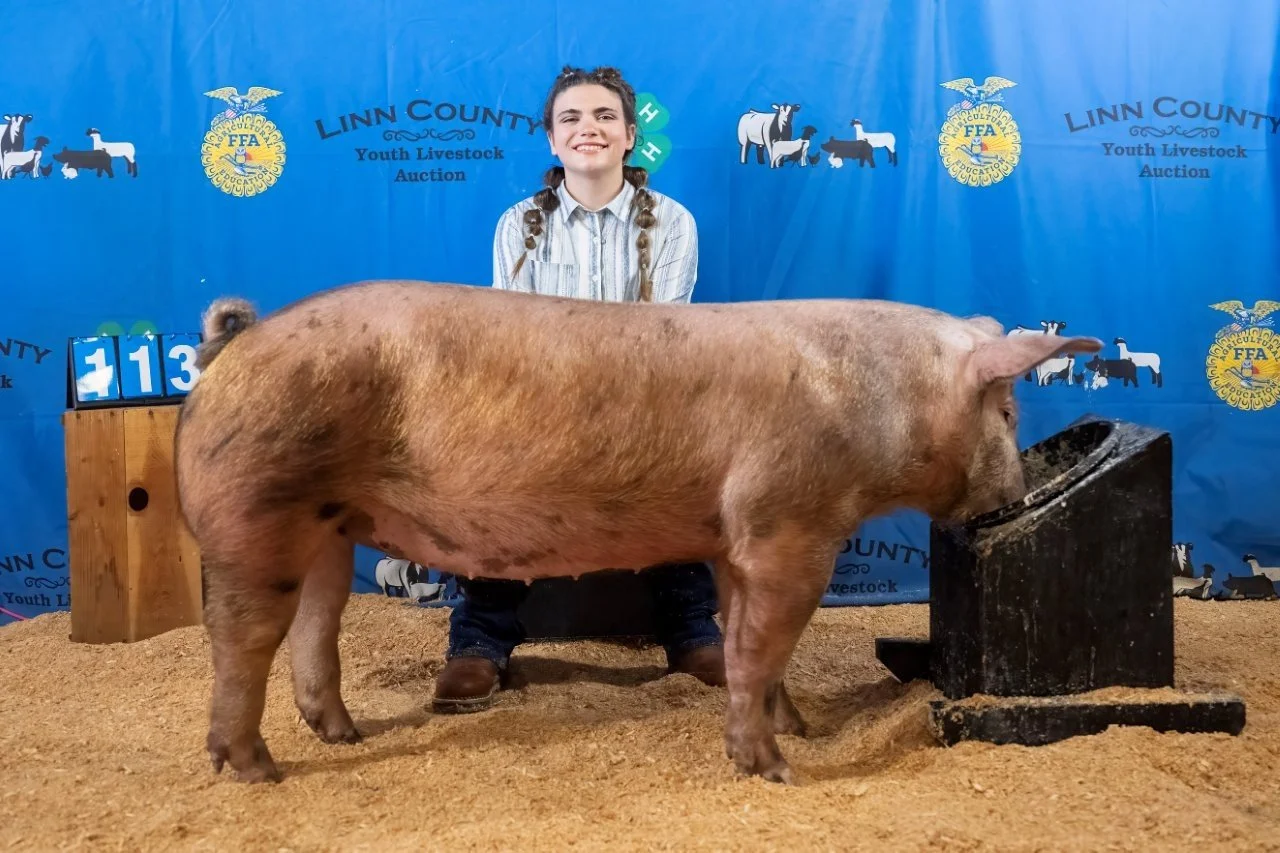 Swine 113 (1 of 1).jpg