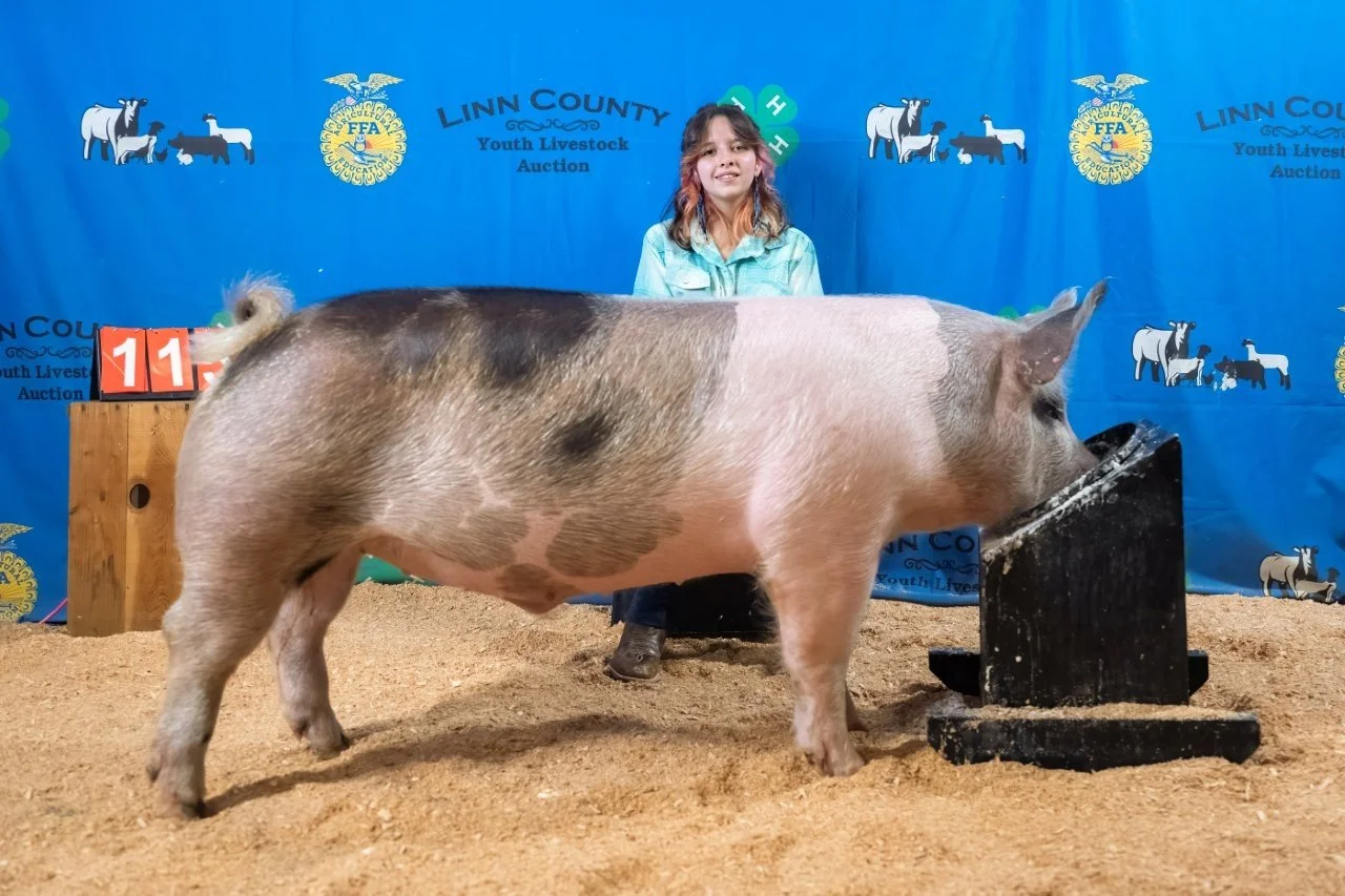 Swine 115 (1 of 1).jpg