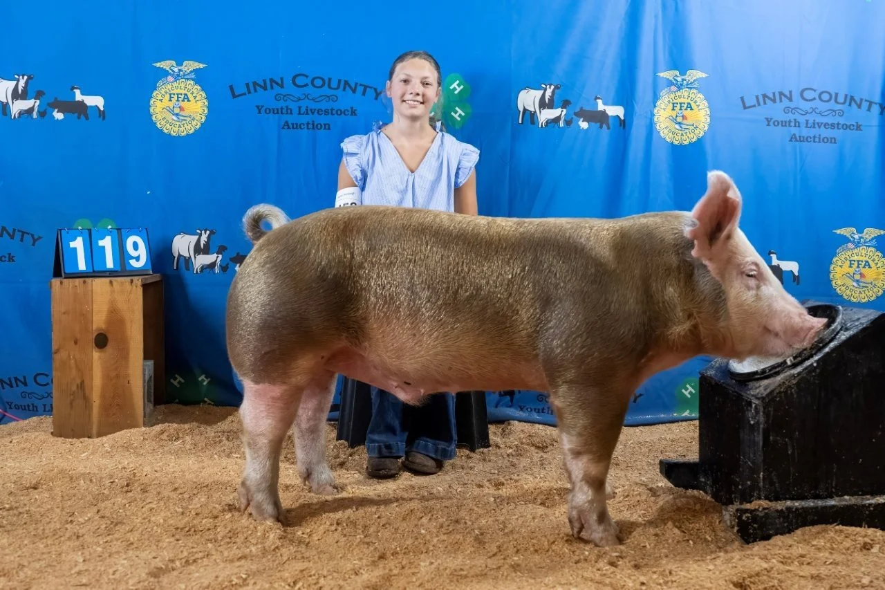 Swine 119 (1 of 1).jpg