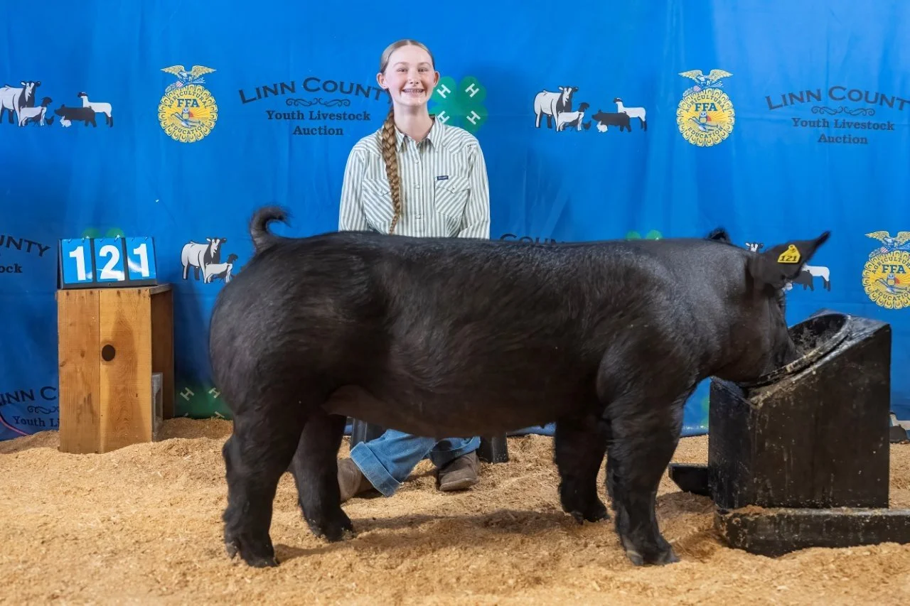 Swine 121 (1 of 1).jpg