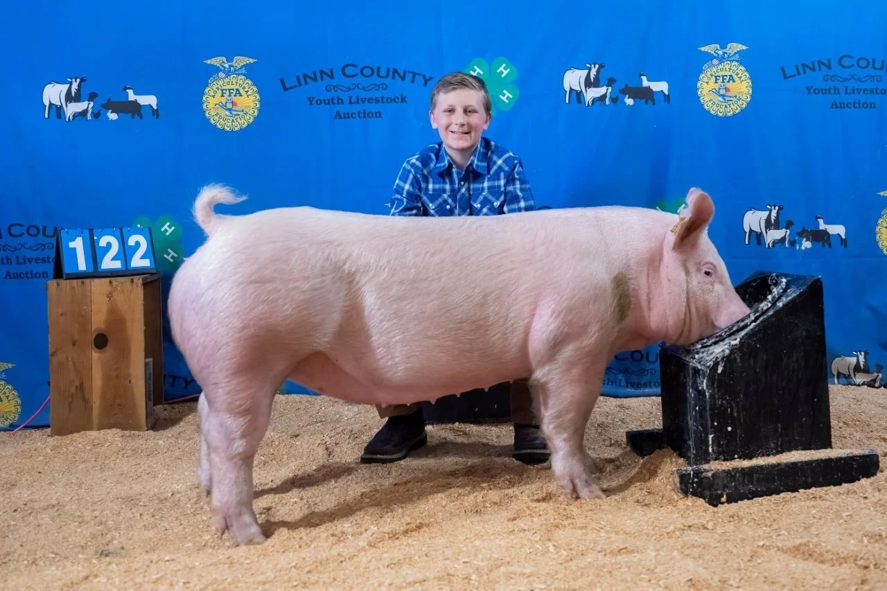 Swine 122 (1 of 1).jpg