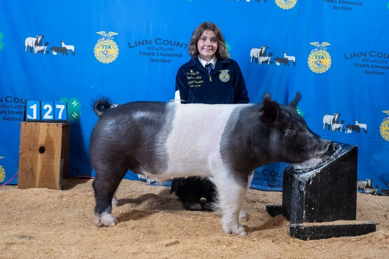Swine 127 (1 of 1).jpg