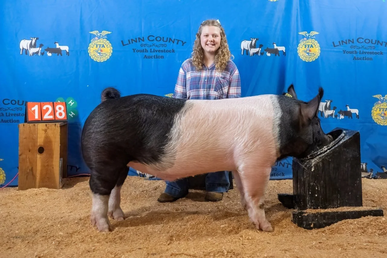 Swine 128 (1 of 1).jpg