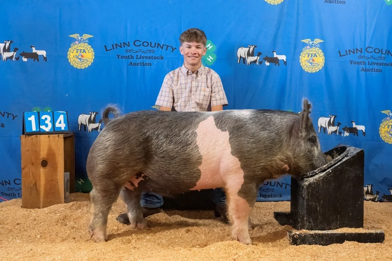 Swine 134 (1 of 1).jpg