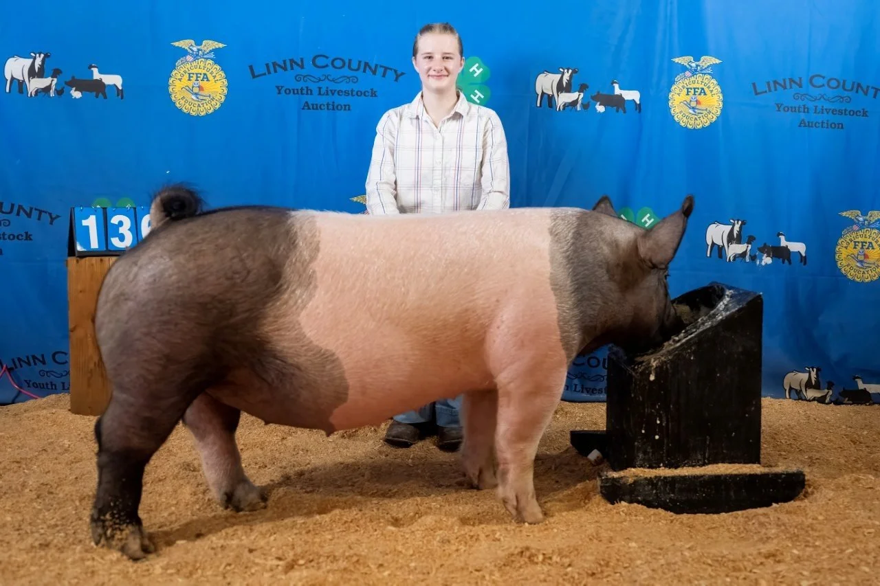 Swine 136 (1 of 1).jpg