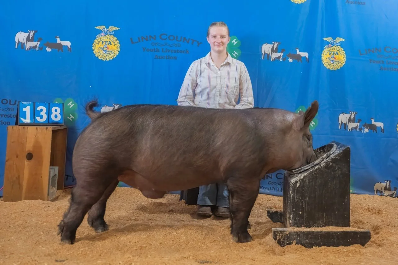 Swine 138 (1 of 1).jpg