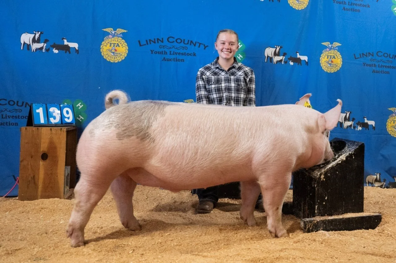Swine 139 (1 of 1).jpg