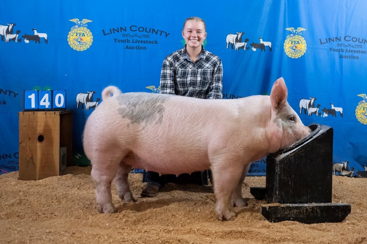 Swine 140 (1 of 1).jpg