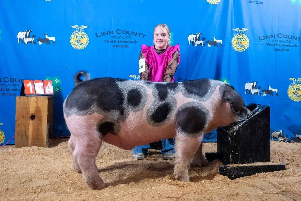 Swine 144 (1 of 1).jpg