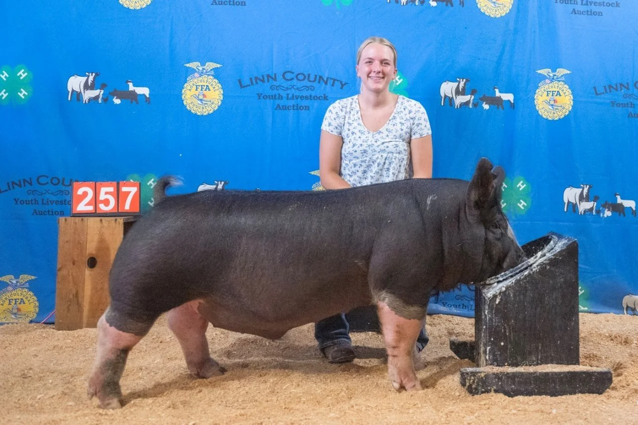 Swine 257 (1 of 1).jpg