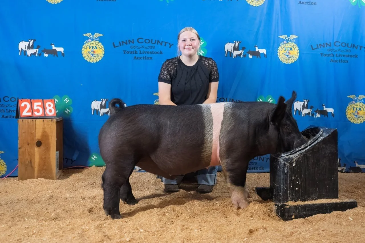 Swine 258 (1 of 1).jpg