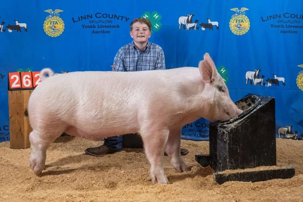 Swine 262 (1 of 1).jpg