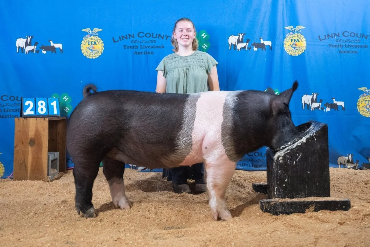 Swine 281 (1 of 1).jpg