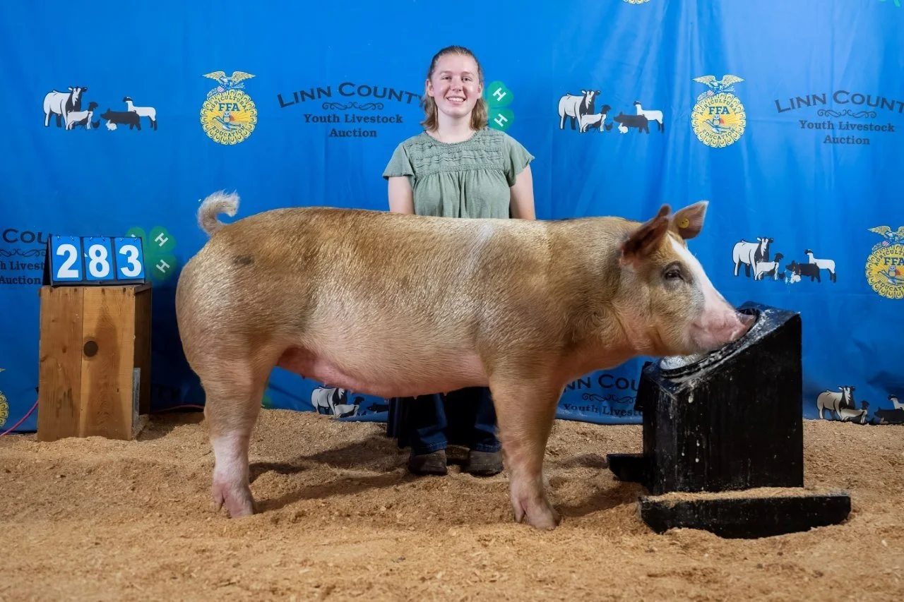 Swine 283 (1 of 1).jpg
