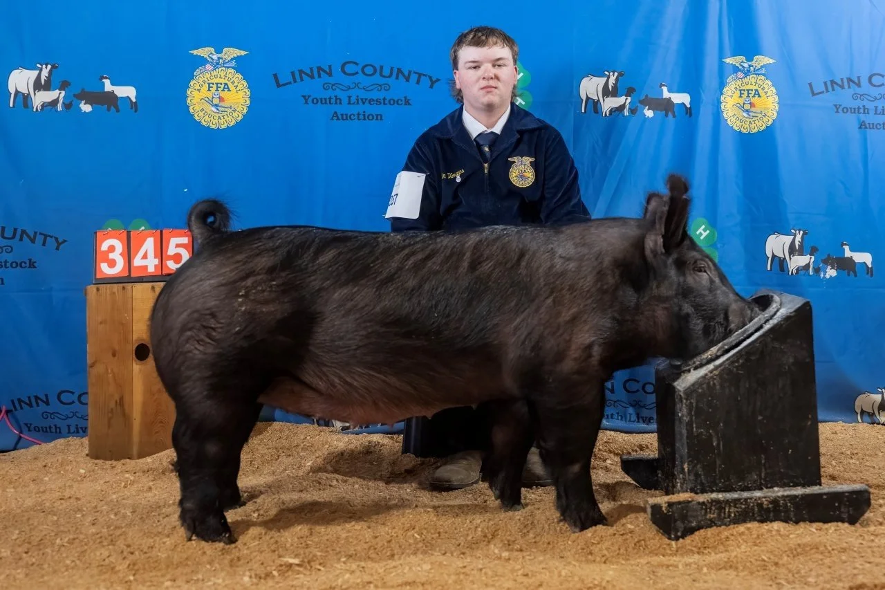 Swine 345 (1 of 1).jpg