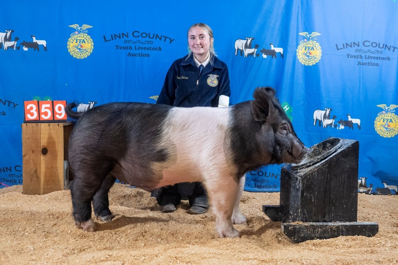 Swine 359 (1 of 1).jpg