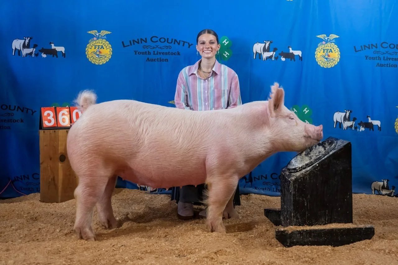 Swine 360 (1 of 1).jpg
