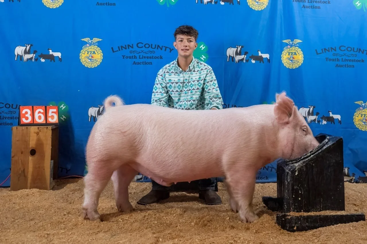 Swine 365 (1 of 1).jpg