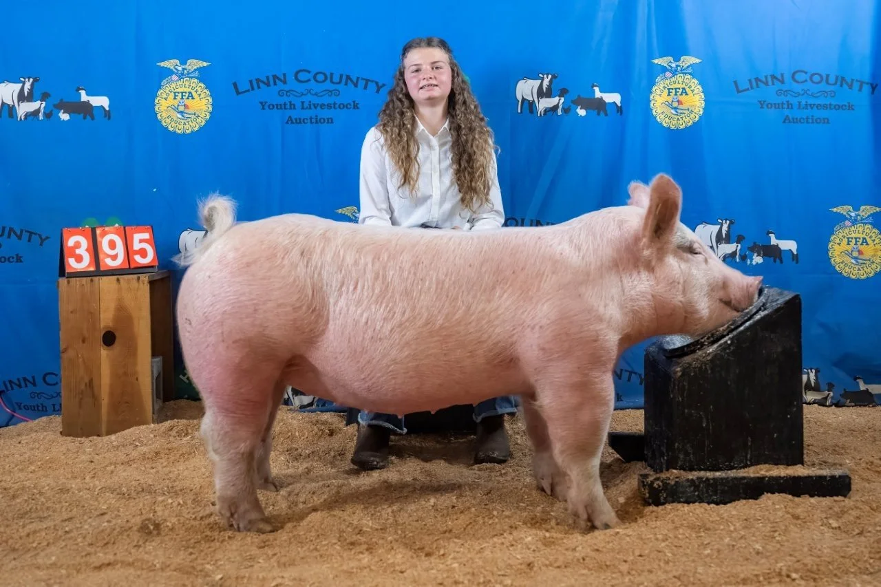 Swine 395 (1 of 1).jpg