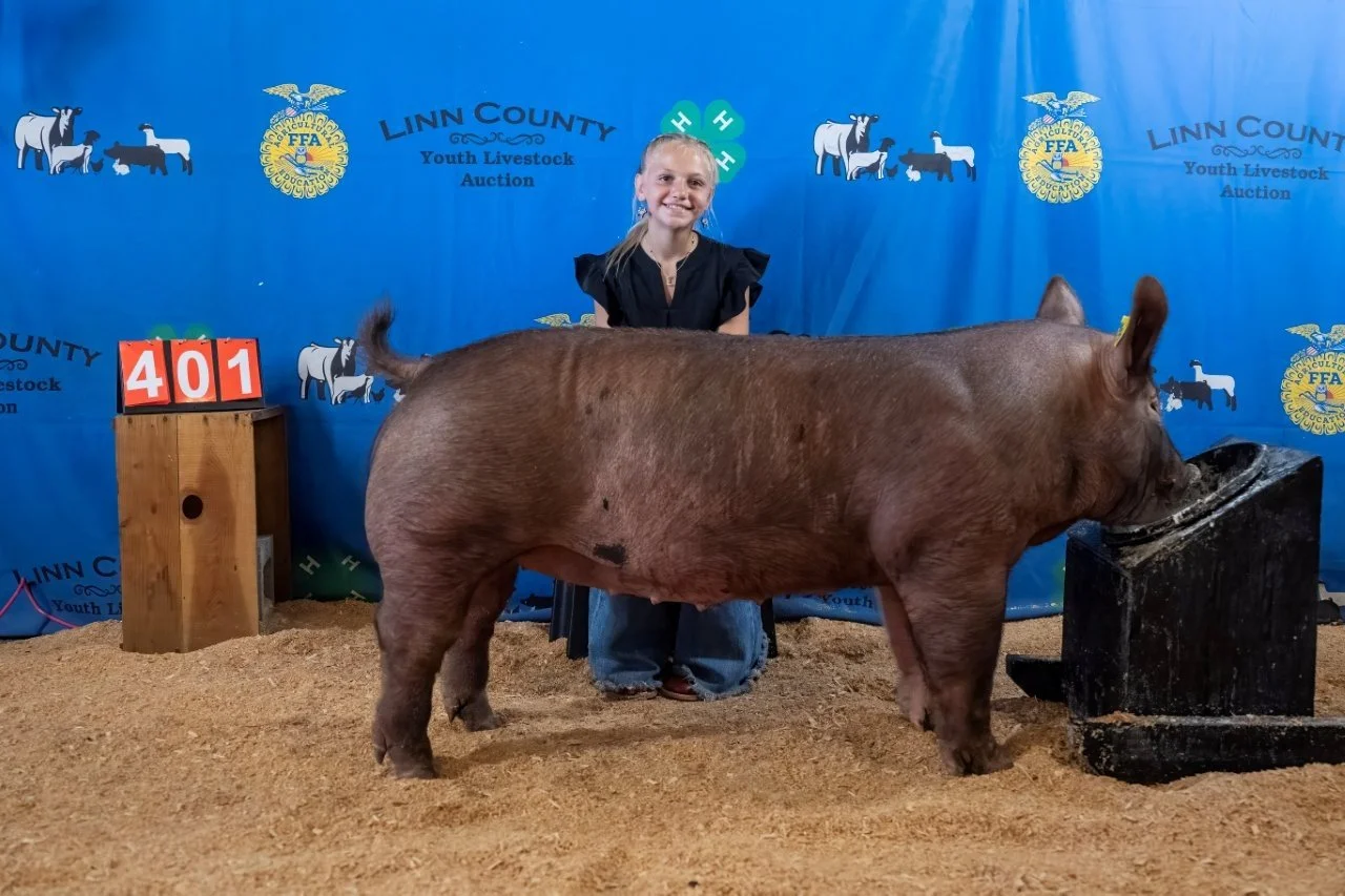 Swine 401 (1 of 1).jpg
