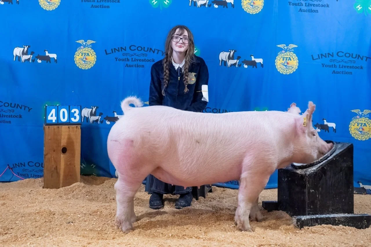 Swine 403 (1 of 1).jpg