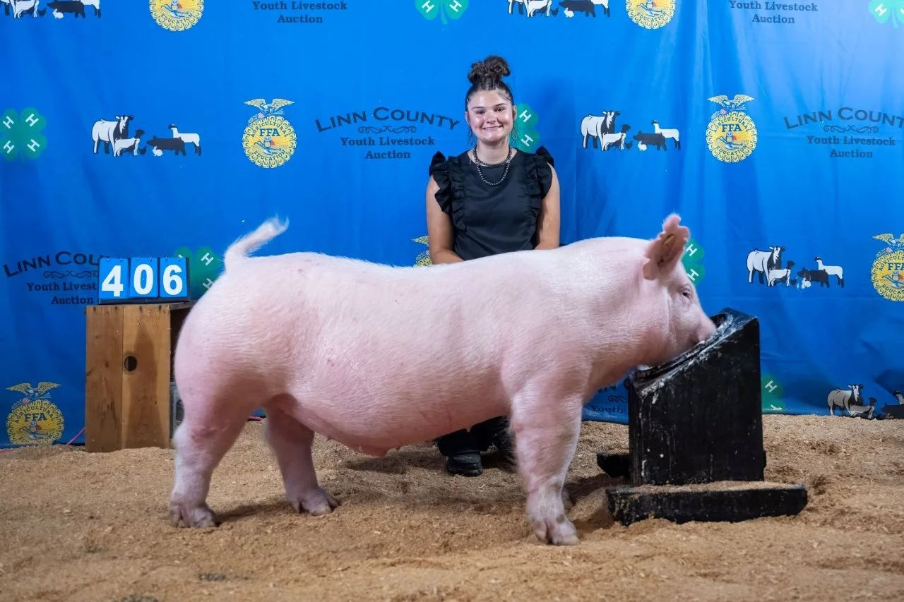 Swine 406 (1 of 1).jpg