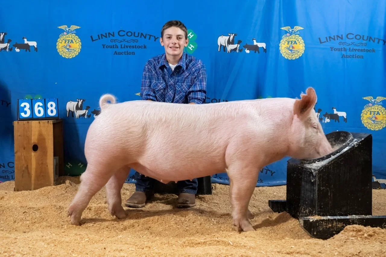 Swine 368 (1 of 1).jpg