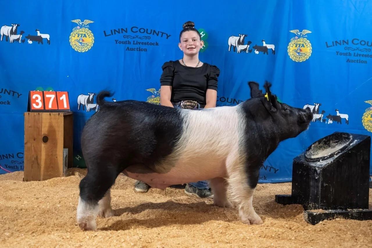 Swine 371 (1 of 1).jpg
