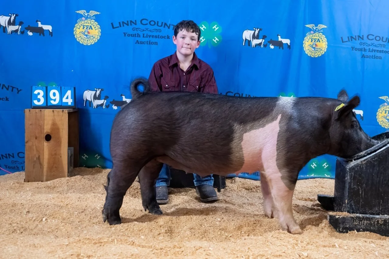 Swine 394 (1 of 1).jpg
