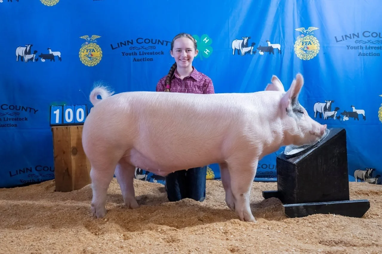 Swine 100 Feeder  (1 of 1).jpg