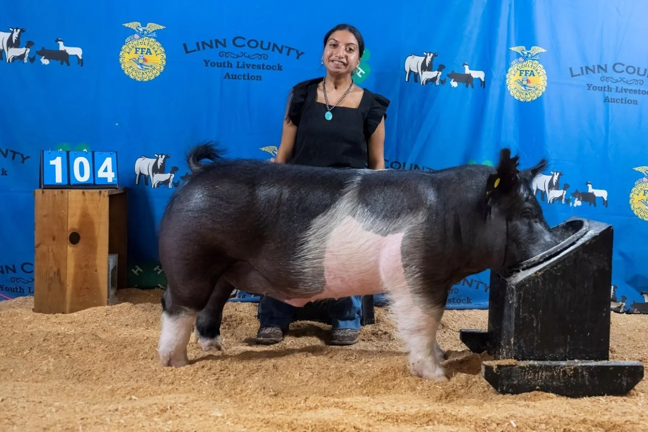 Swine 104 (1 of 1).jpg