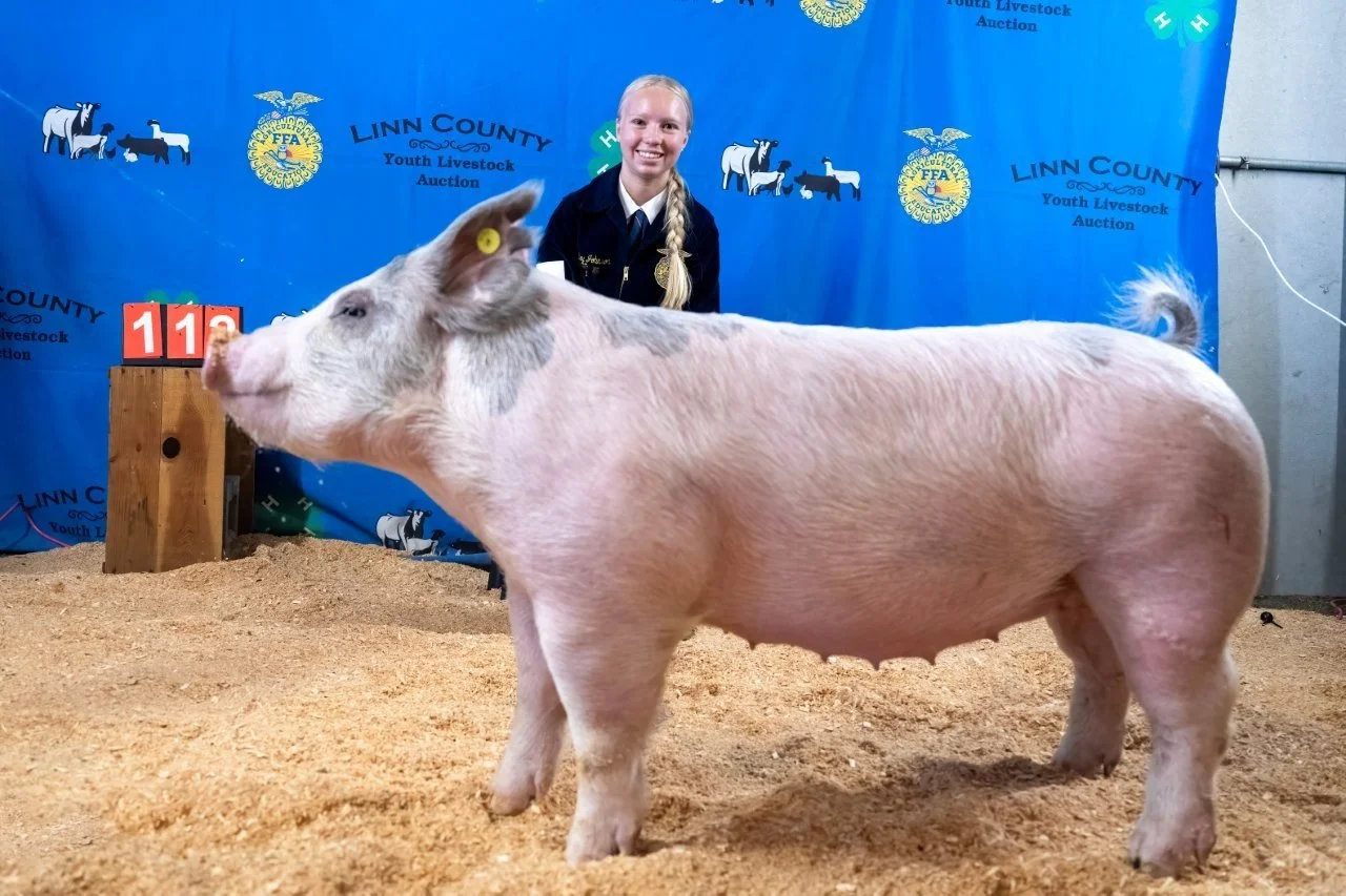 Swine 112 (1 of 1).jpg