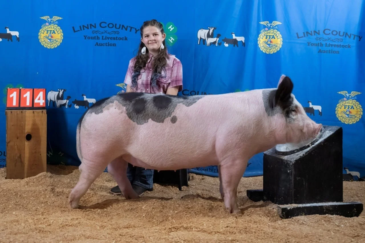 Swine 114 (1 of 1).jpg