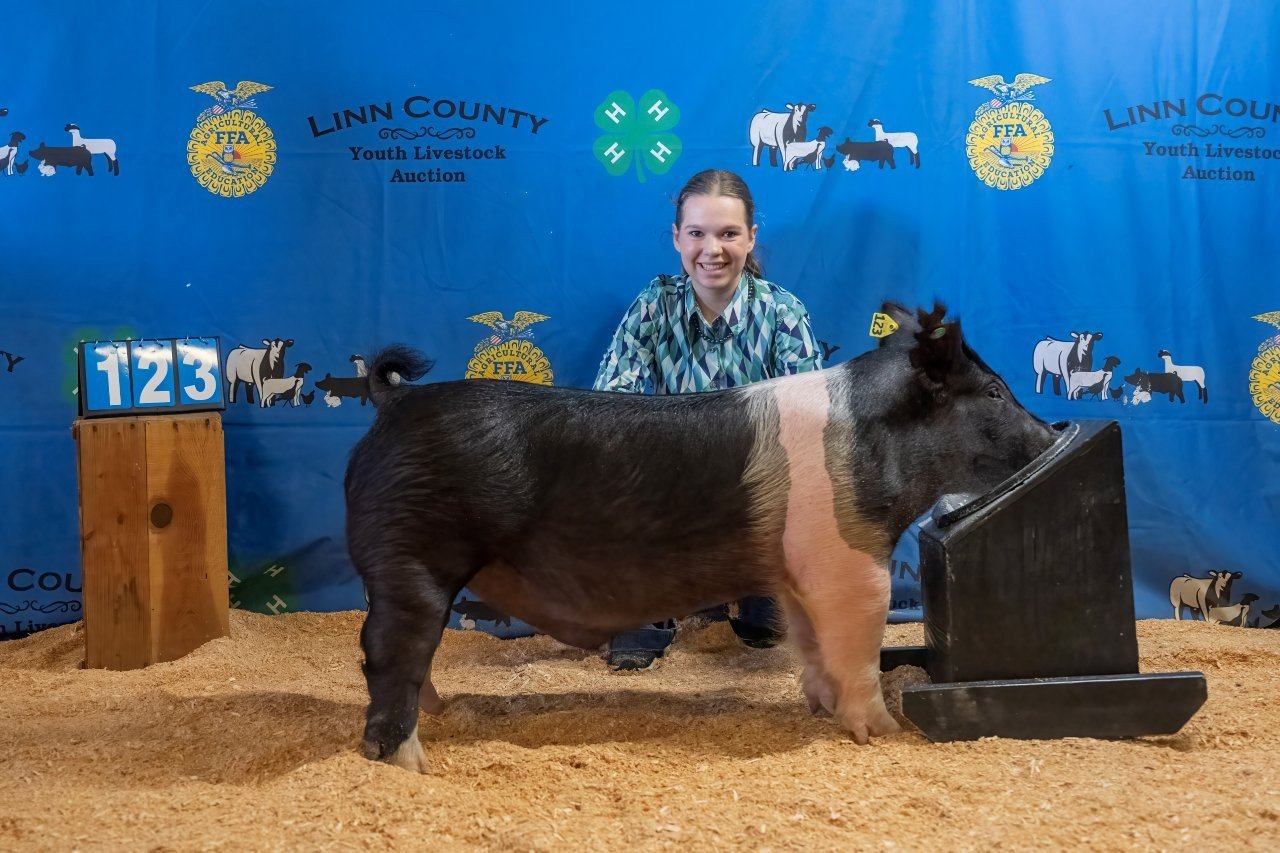 Swine 123 (1 of 1).jpg