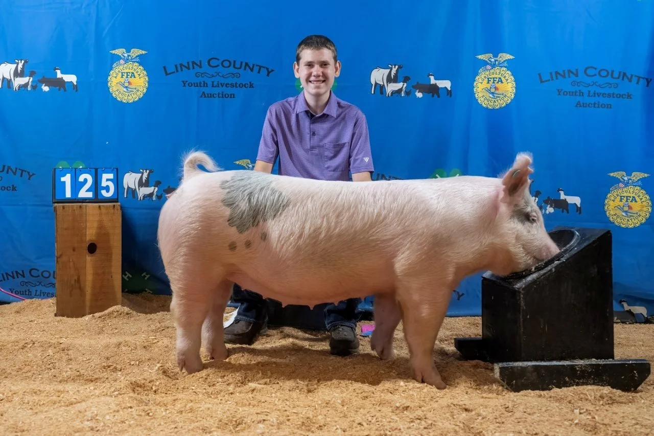 Swine 125 (1 of 1).jpg