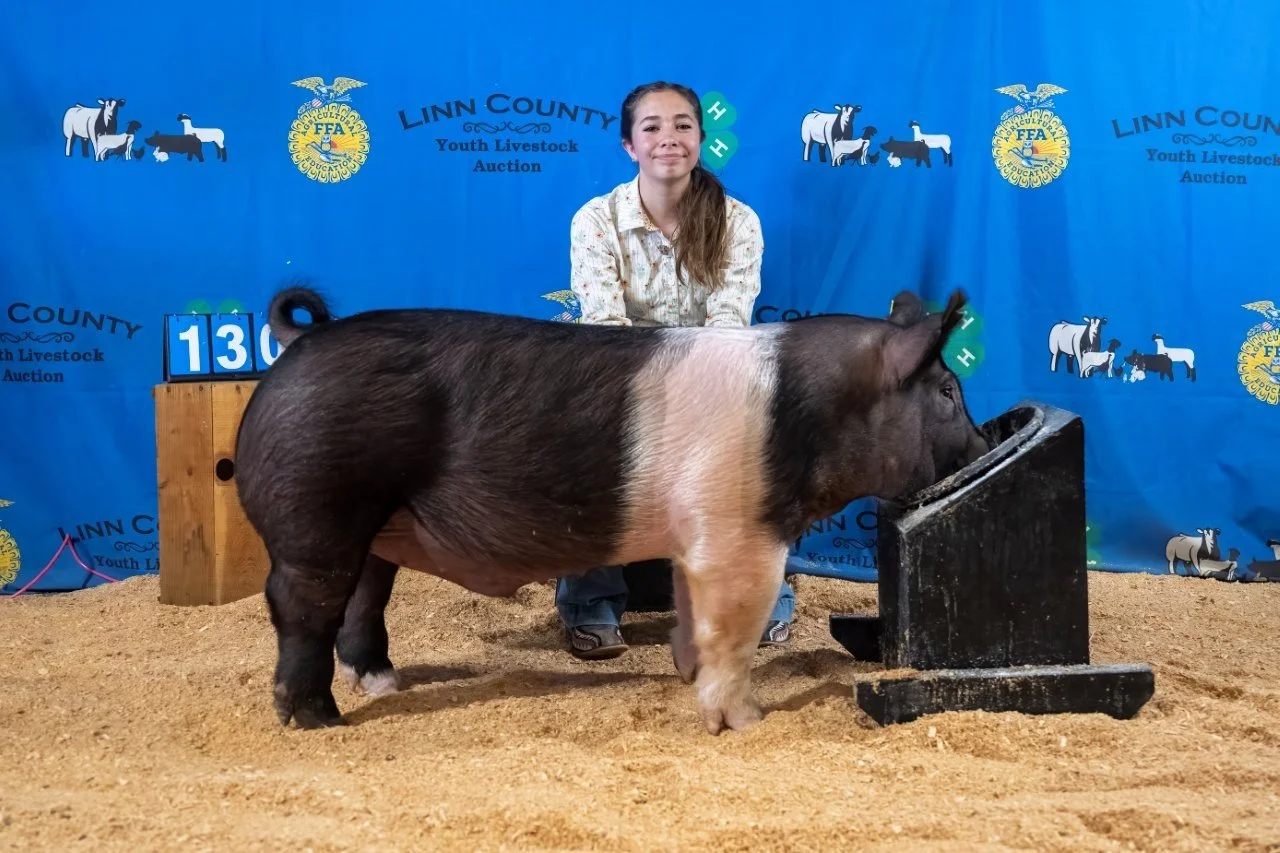 Swine 130 (1 of 1).jpg