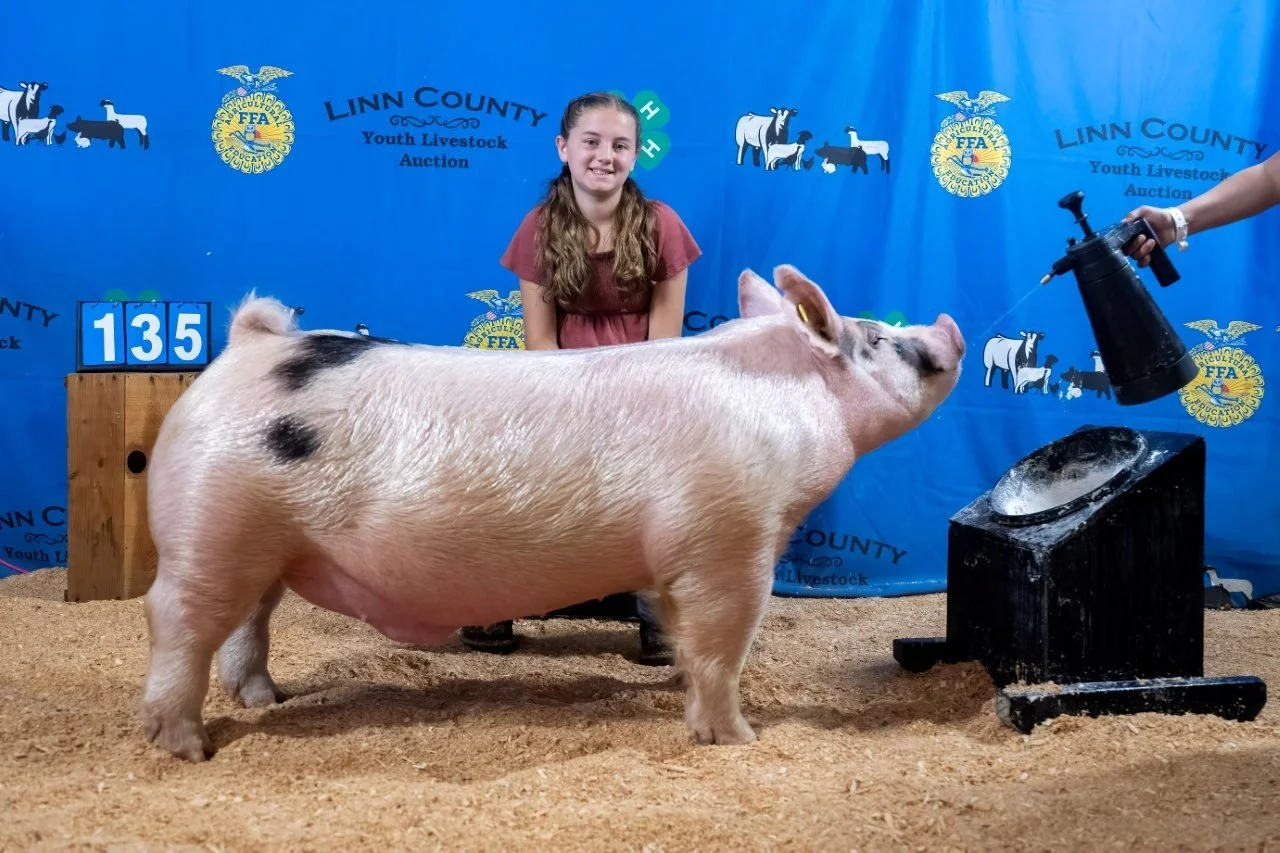 Swine 135 (1 of 1).jpg